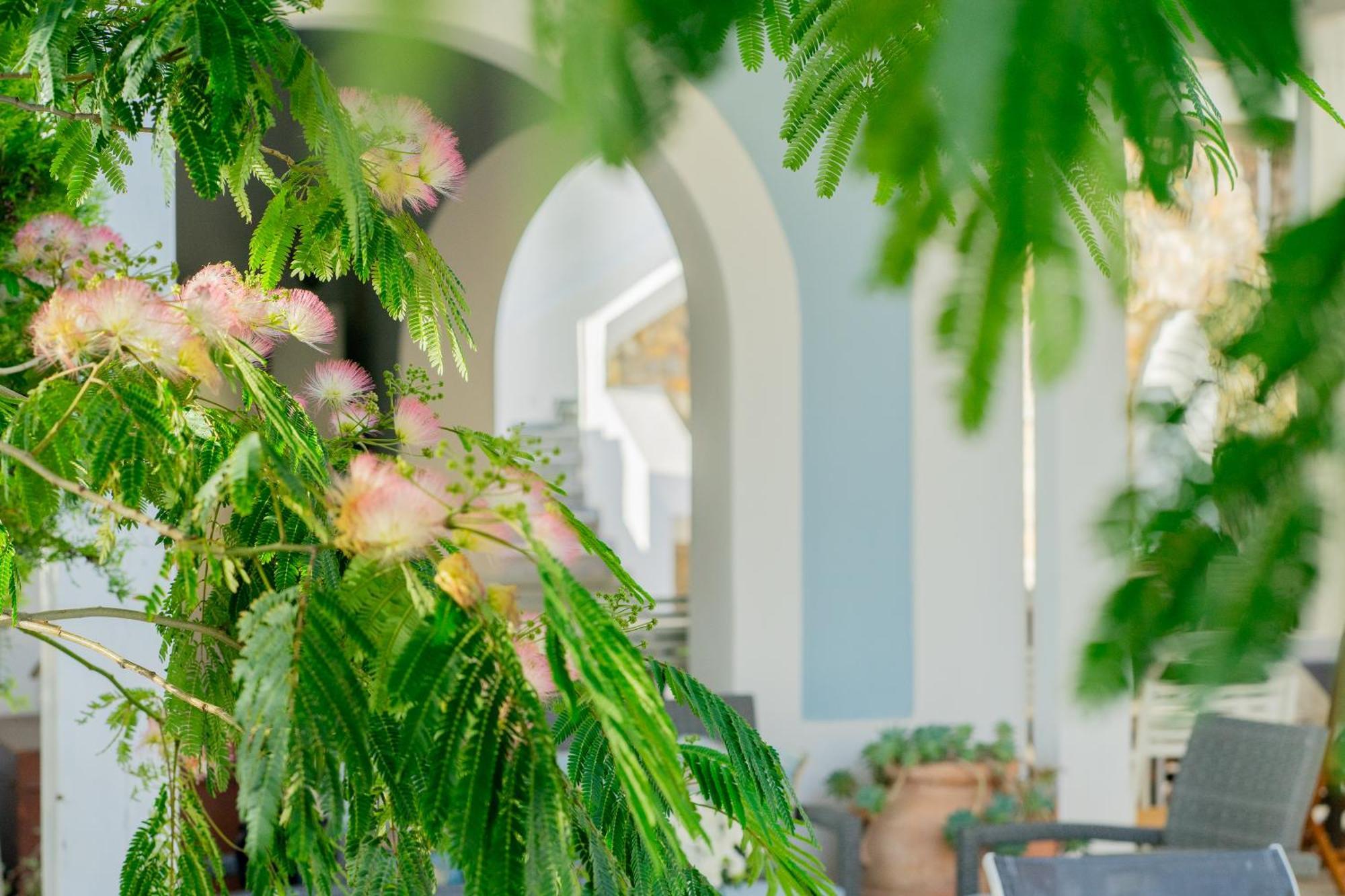 Villa Acacia Ponza Exteriér fotografie