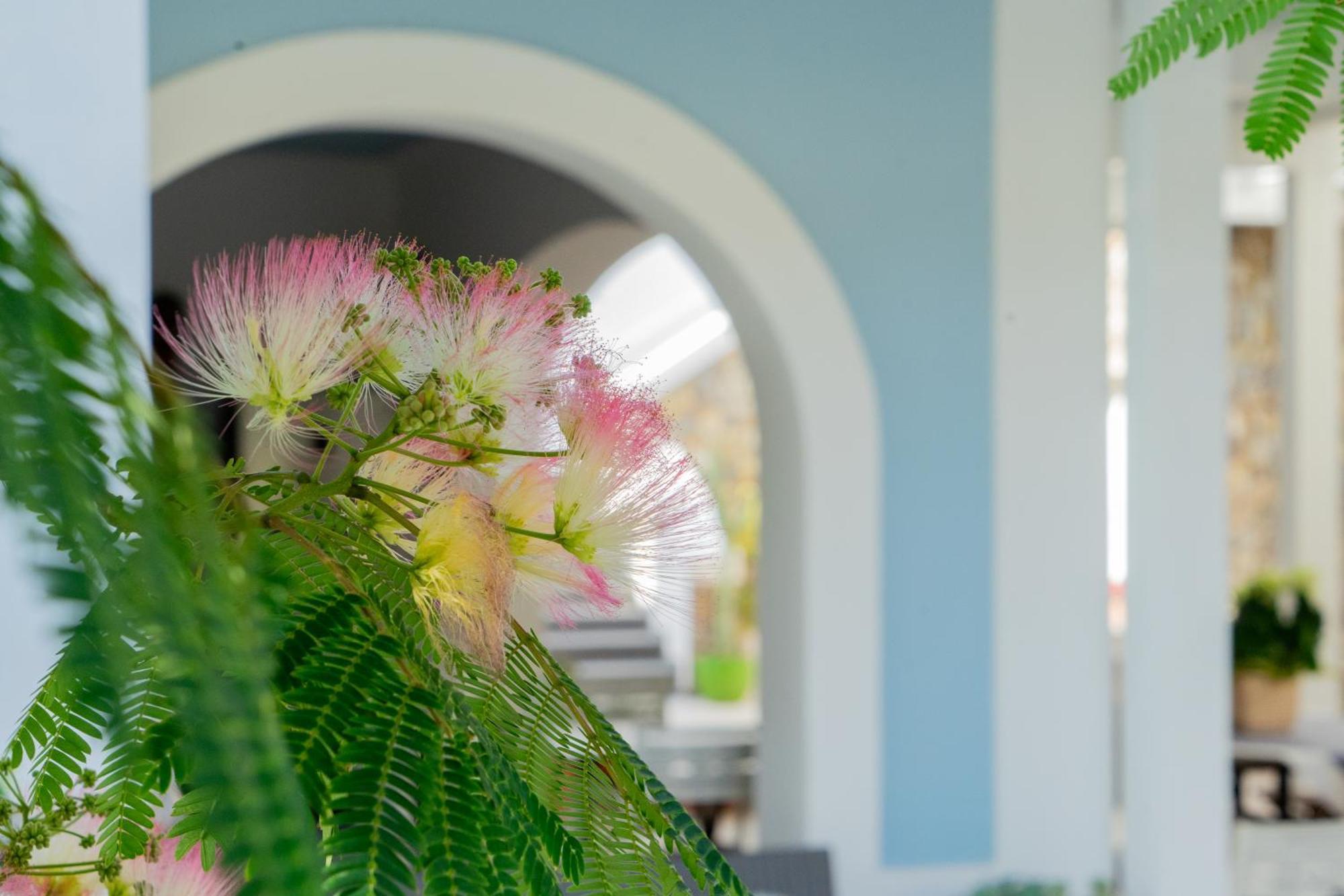 Villa Acacia Ponza Exteriér fotografie